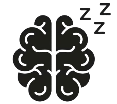 Mechanistic Sleep Support
